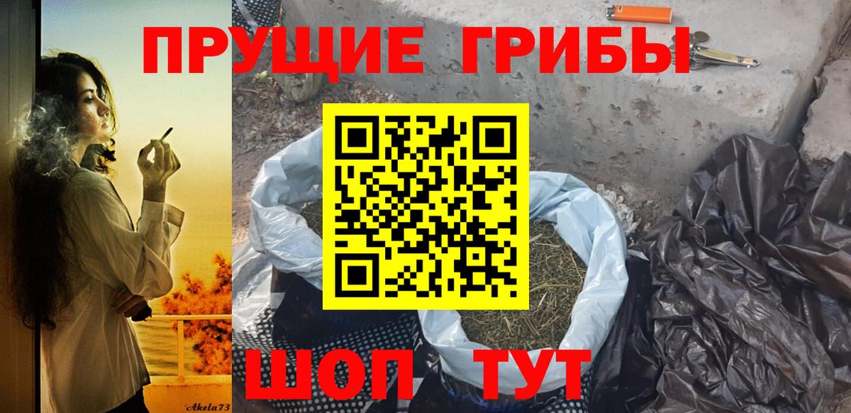 Углич  Галлюциногенные грибы Magic Shrooms  Вход с VPN  Псилоцибиновые грибы Psilocybine cubensis 